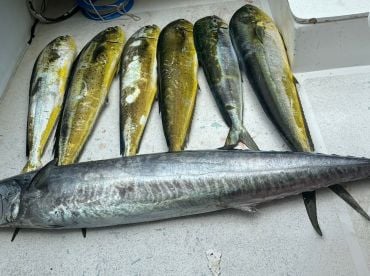 Ambergris Caye Report Photo 1