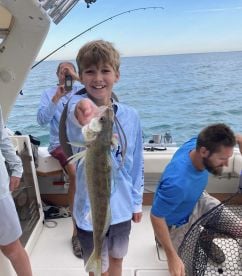 St. Clair Shores Report Photo 1