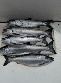 Gabriola Report Photo 1