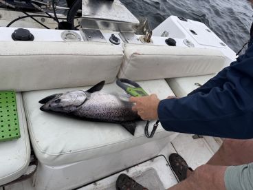 Gabriola Report Photo 2