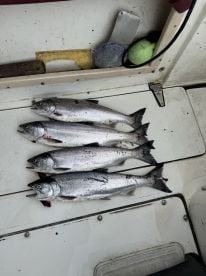 Burrard Inlet Report Photo 1