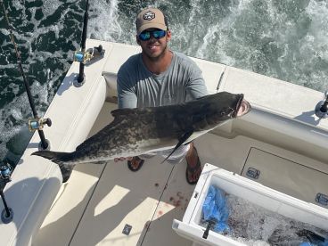 Nice Cobia !
