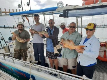 Airlie Beach Report Photo 1