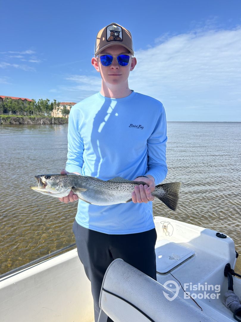 Punta Gorda Report Photo 0