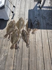 6 Keepers..20 landed..
