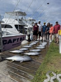 Yellowfin and Blackfin