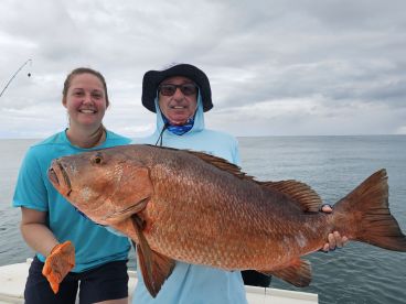 Incredible cubera snapper with live sard