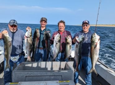 Bass and Bluefish 