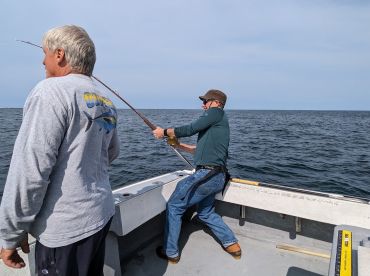 Provincetown Report Photo 3