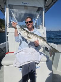 Stripers are in thick