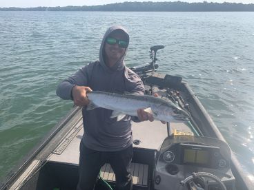 Independence Day Surprise!