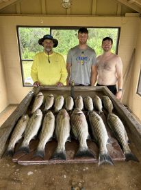 Dropping baits and netting fish. 