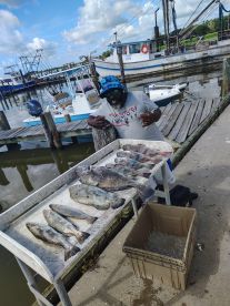 Texas City Report Photo 1