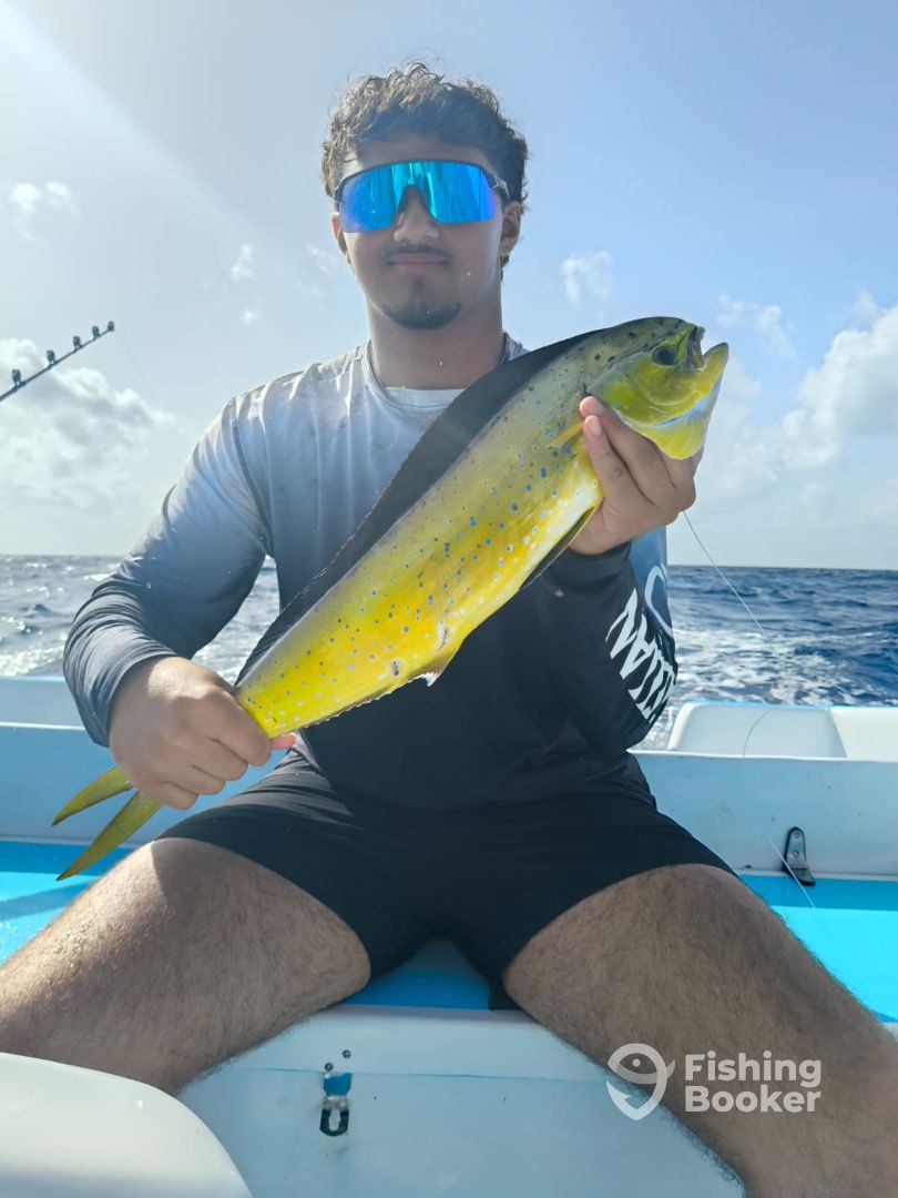 Playa Del Carmen Report Photo 0