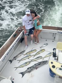 Barracuda 