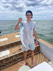 Steinhatchee Report Photo 2