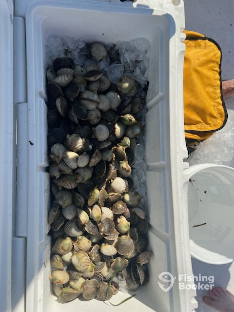 Steinhatchee Report Photo 0