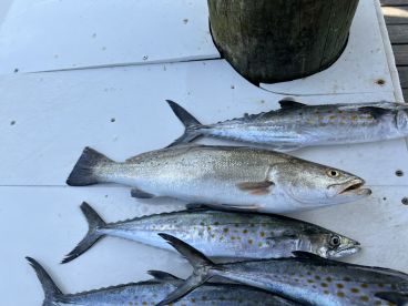 Fort Morgan Report Photo 1