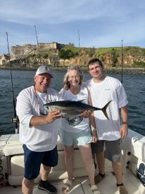 Yellow fin tuna 
