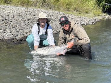 Fish count: over 420,000 red salmon!