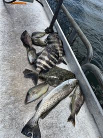 Jacksonville Report Photo 2