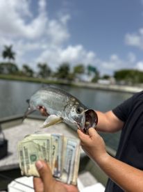 Miami Report Photo 1