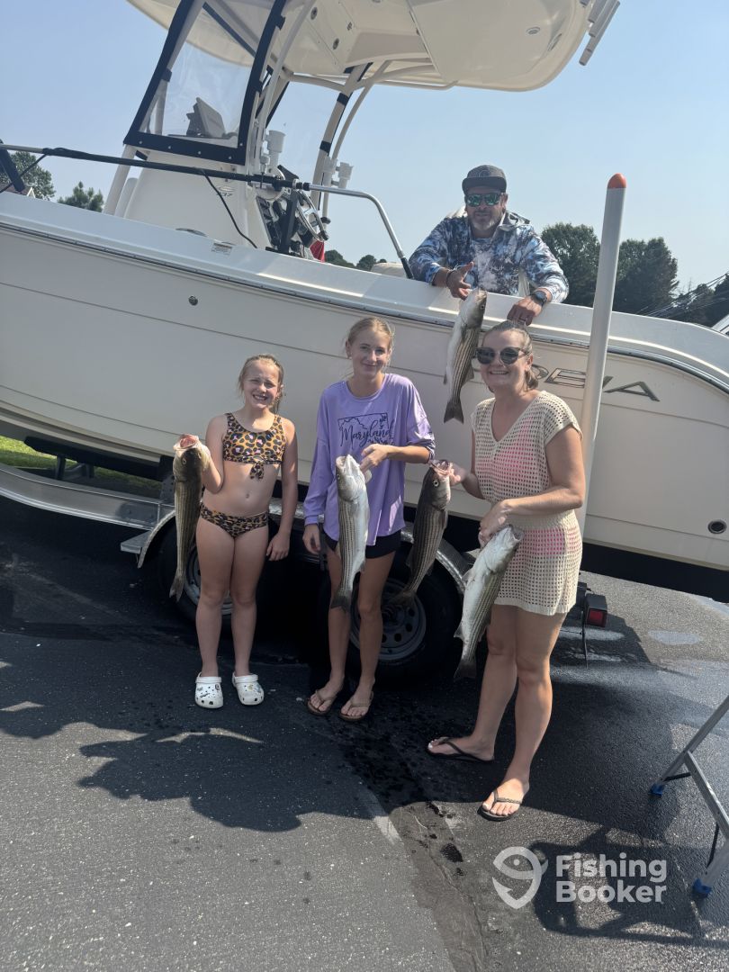 Nanticoke Report Photo 0