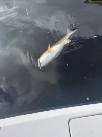 Jacksonville Report Photo 2