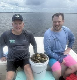 The scallops are plentiful this year!