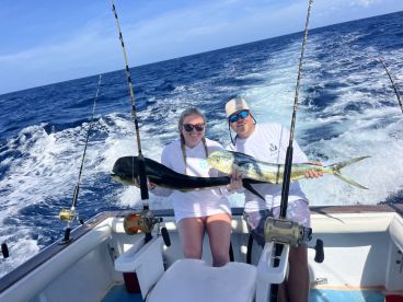 Mahi mahi