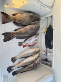 Reel good fishing day  