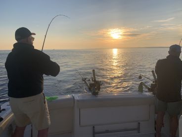 Leland Report Photo 1