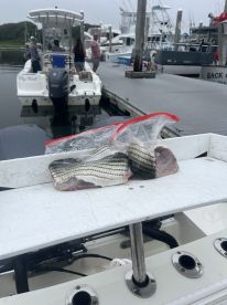 Dennis Report Photo 1