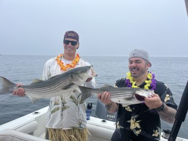 Dennis Report Photo 2