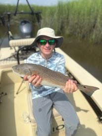 Savannah Report Photo 2