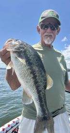 Branson Report Photo 1