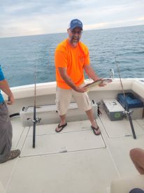 St. Clair Shores Report Photo 1
