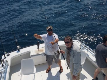 Nags Head Report Photo 2