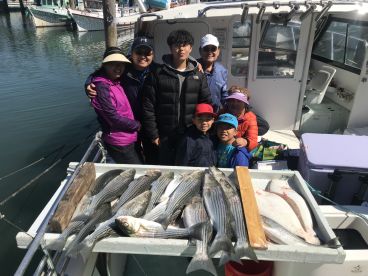 San Francisco Report Photo 2