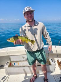 St. Clair Shores Report Photo 1