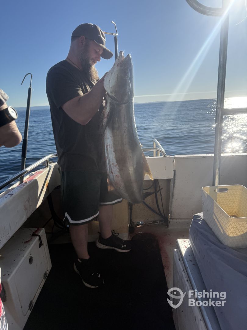 Moreton Bay Report Photo 0