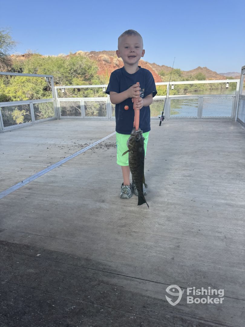 Lake Havasu City Report Photo 0