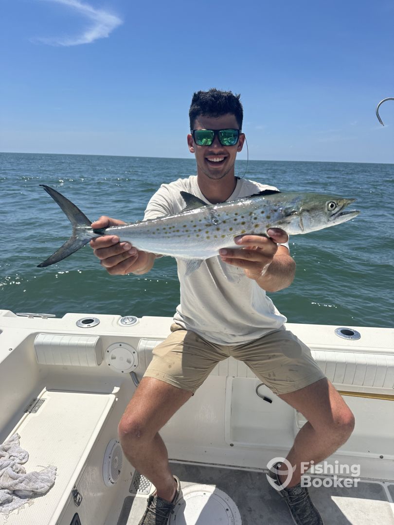 Hilton Head Island Report Photo 0