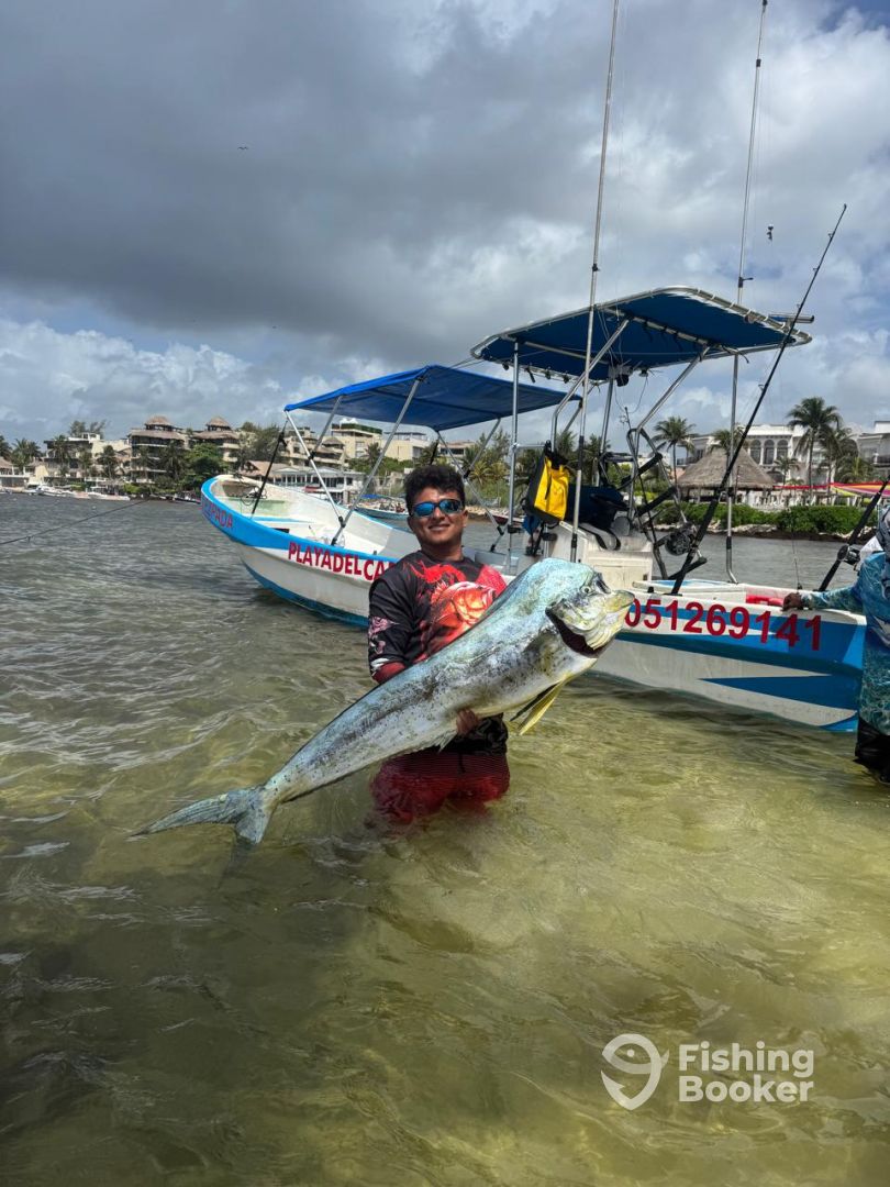 Playa Del Carmen Report Photo 0