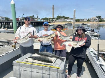 Striped bass are here