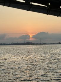 Pasadena Report Photo 1