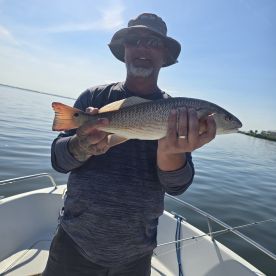 Redfish bite was hot