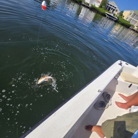 Sarasota Report Photo 2