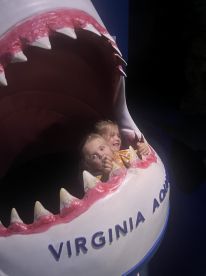 Afternoon inshore fishing on the boat to