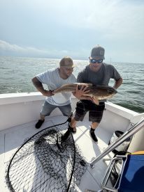 Big Red Drum
